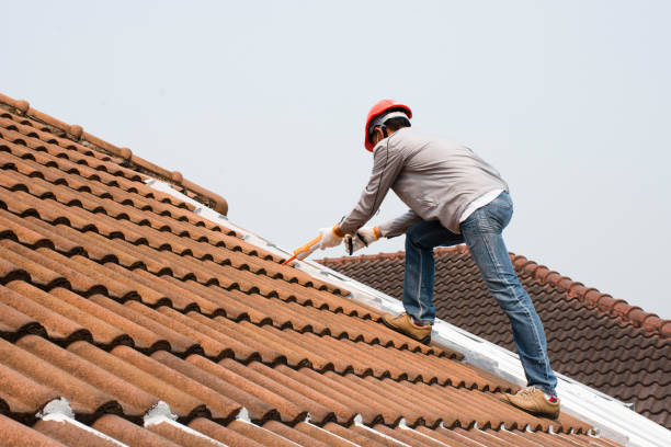 Reliable Trinity, AL Roofing and repair Solutions